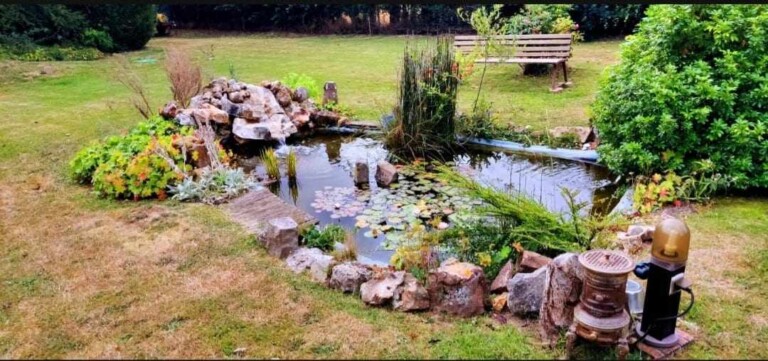 494817744 710375391569834 9118216682085664485 n 768x361