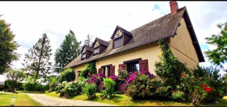 494827765 990023462920696 5104090532890962260 n 768x363