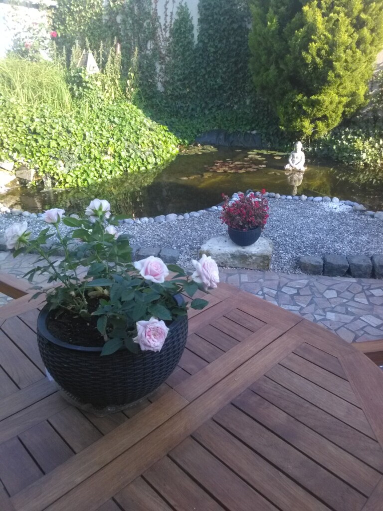 FLAUCOURT VUE CHAMBRE 768x1024