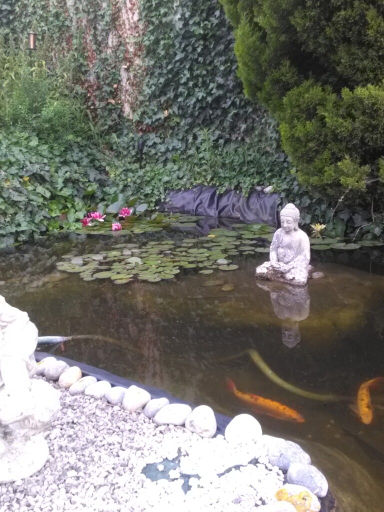 FLAUCOURT VUE VIVIER 768x1024