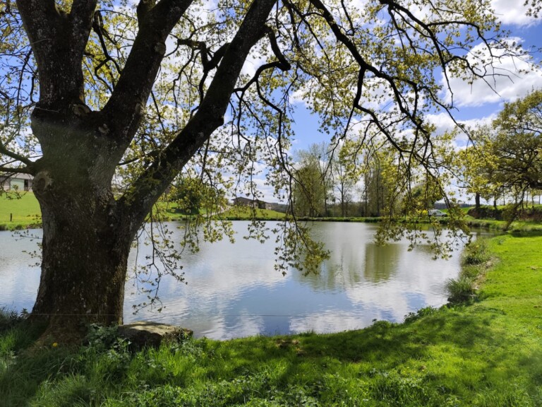 IMG 20250419 WA0004 768x576