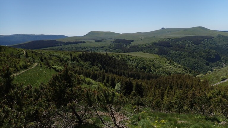 P5280002 Large 768x433