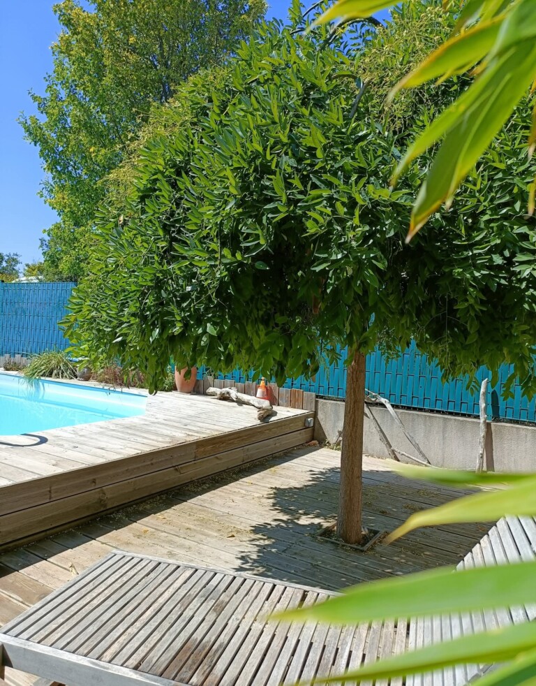 inbound5710447096978644103 768x982