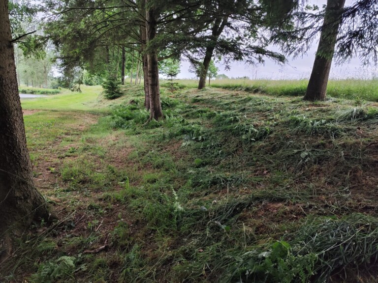 IMG 20250527 WA0000 768x576