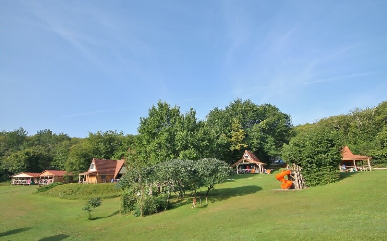 IMG 1156 800x499 1 768x479