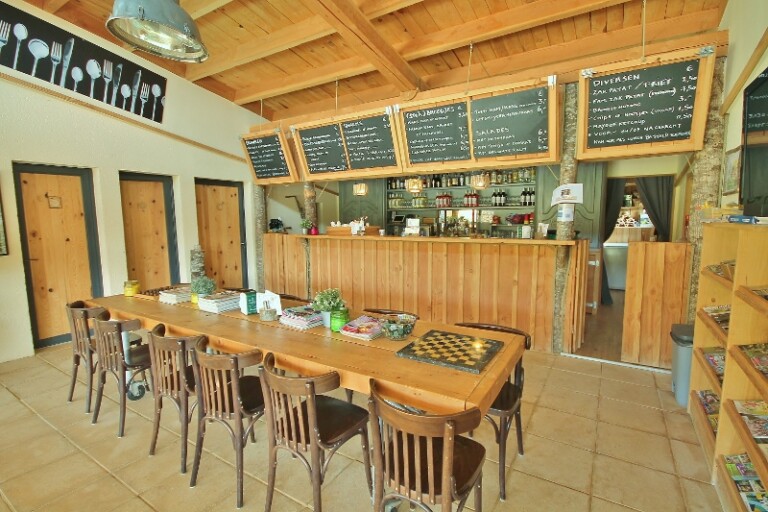 IMG 1182 800x533 1 768x512