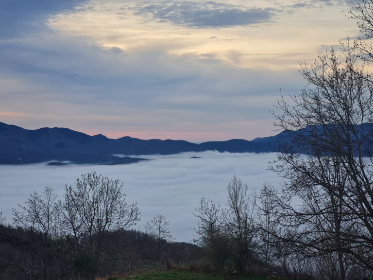 fd4f25f3 135e 46db 85f7 9a6fa47dd6c6 1 all 14979 768x576