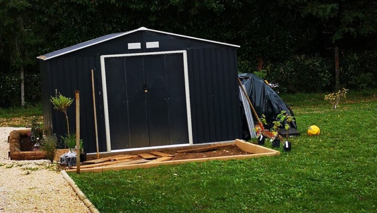 inbound2011130539390052153 768x434