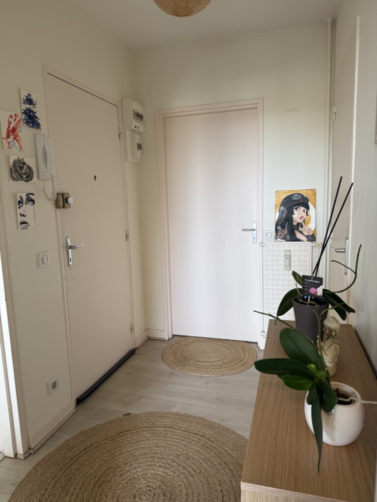 Entree portes dentree et salle deau 768x1024