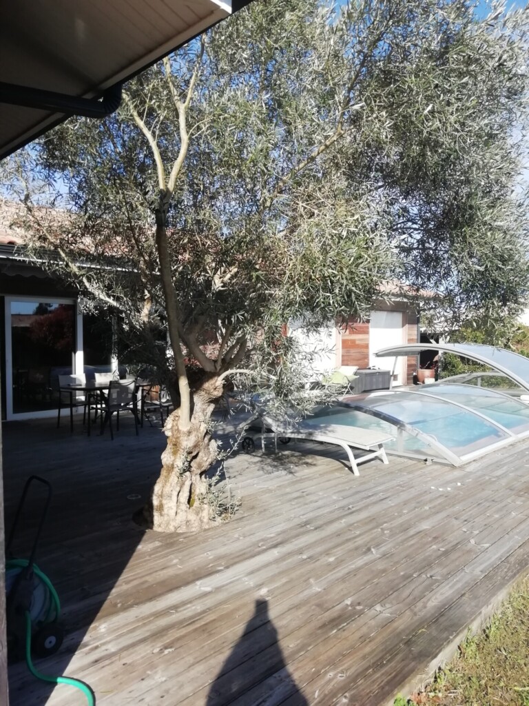 IMG 20240319 163224 768x1024