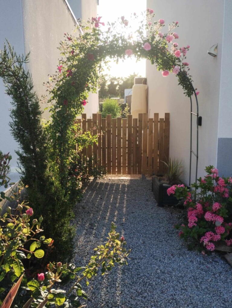 inbound7378291183881692257 768x1020