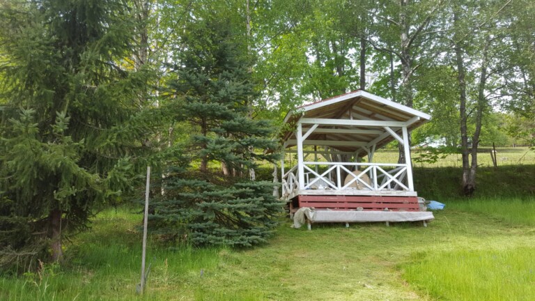 IMG 20250119 WA0008 768x432