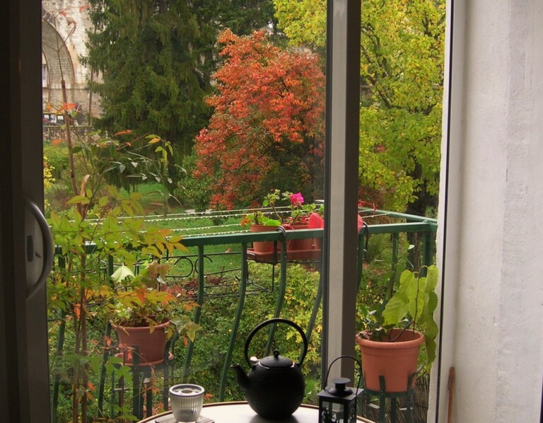 2 Debut automne 21 768x598