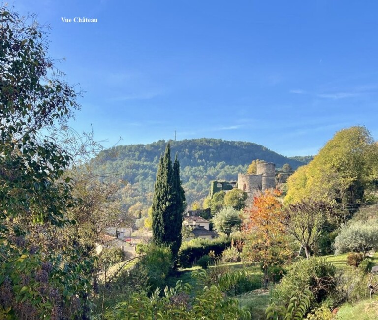 2 Vue chateau 768x651