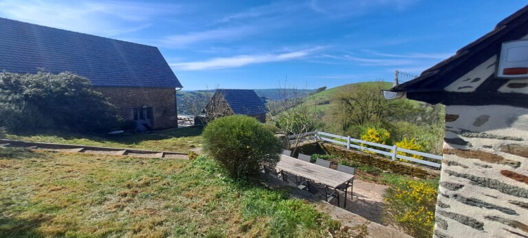 20250418 104456 768x346