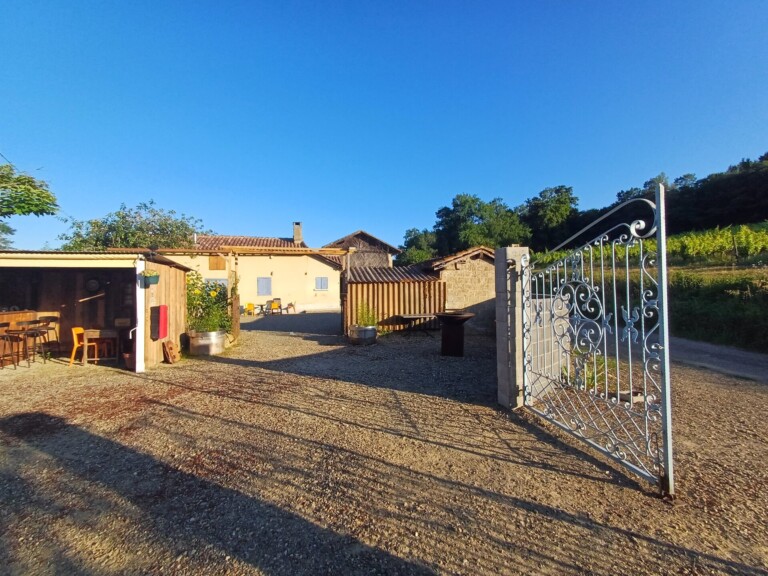 20250629 075636 768x576