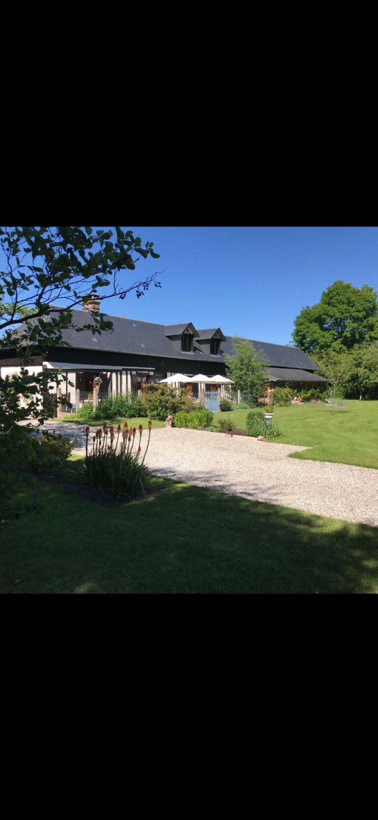 bb3e61e5 50c5 45dd 8b4c 3a14fe2a4d3a 768x1663