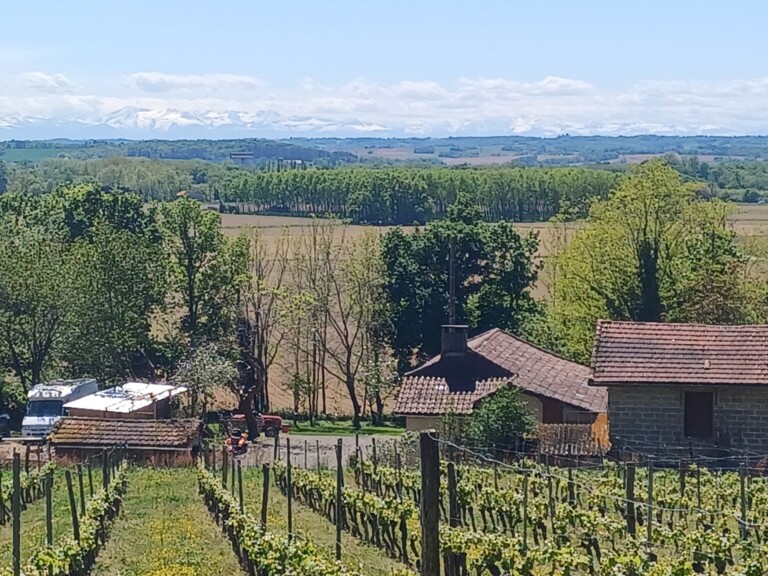 terrein met huis 2 768x576