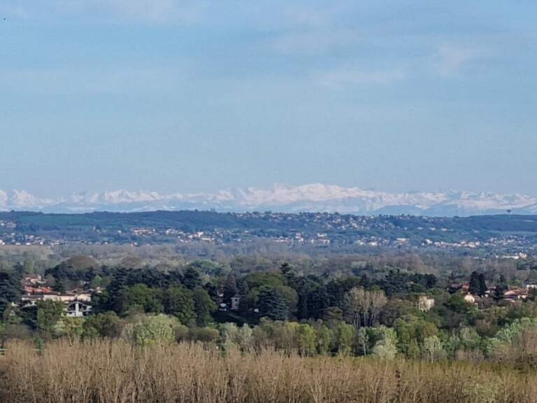 20220410 182439 768x576