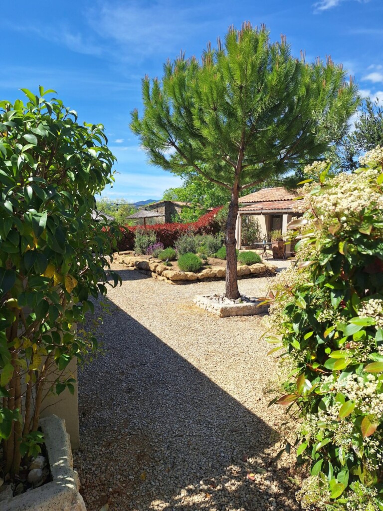 20260416 143208 768x1024