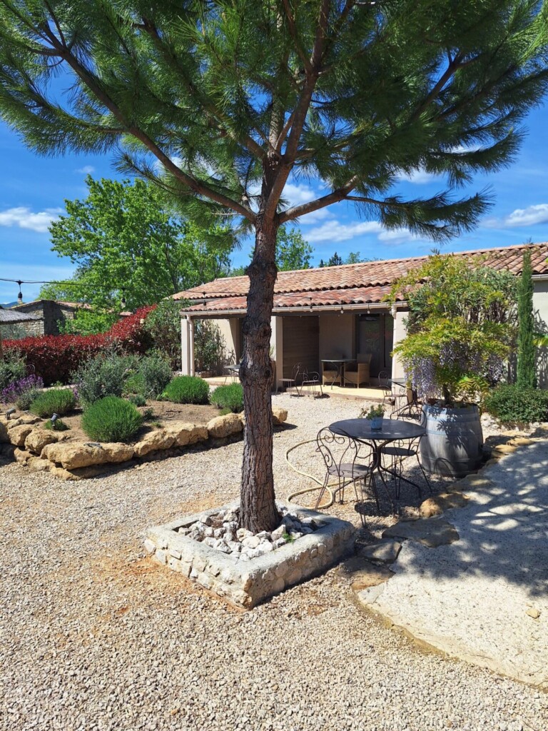 20260416 143226 768x1024