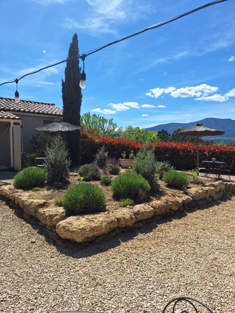 20260416 143315 768x1024