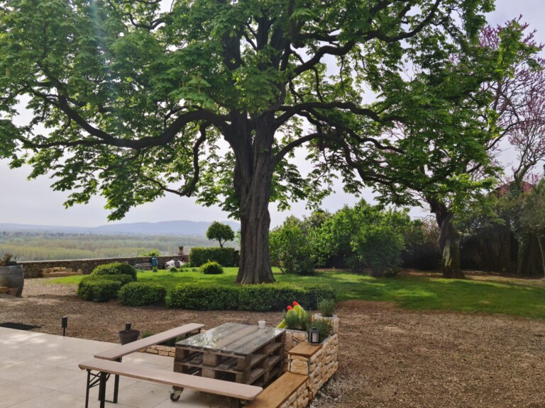 IMG 20240308 WA0003 768x576