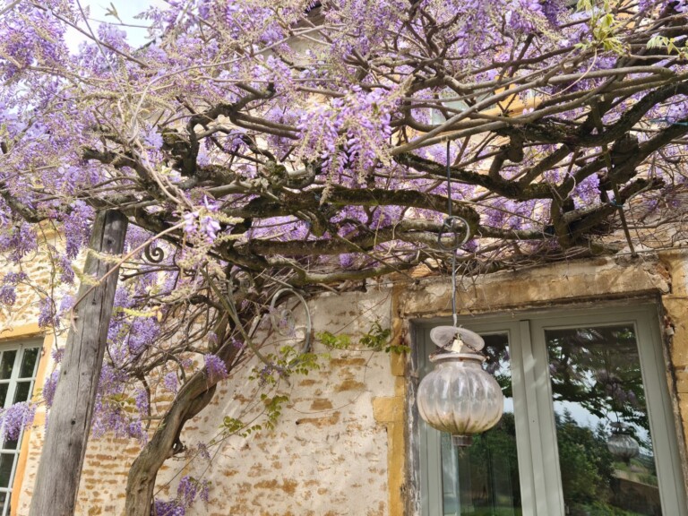 IMG 20240308 WA0006 768x576