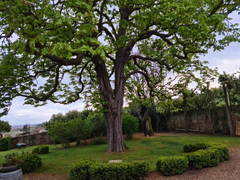 IMG 20240308 WA0008 768x576