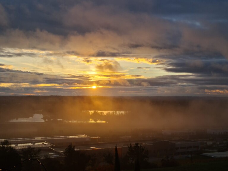 IMG 20240308 WA0021 768x576