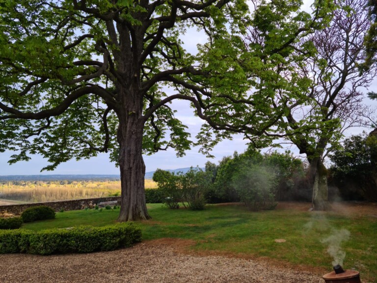 IMG 20240308 WA0033 768x576