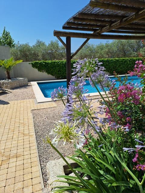 PHOTO 2025 12 26 16 32 41