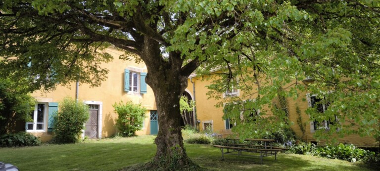 WhatsApp Image 2026 04 29 at 17.31.07 4 768x346