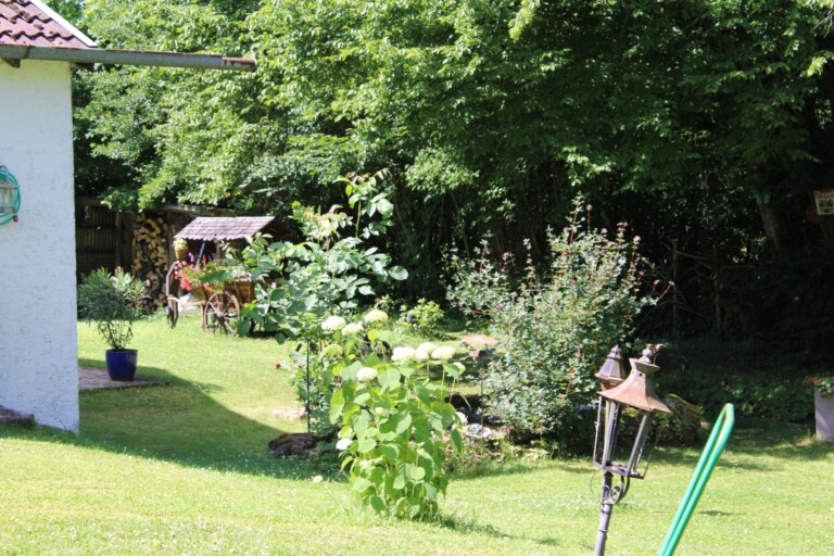 IMG 0883 kopie 768x512