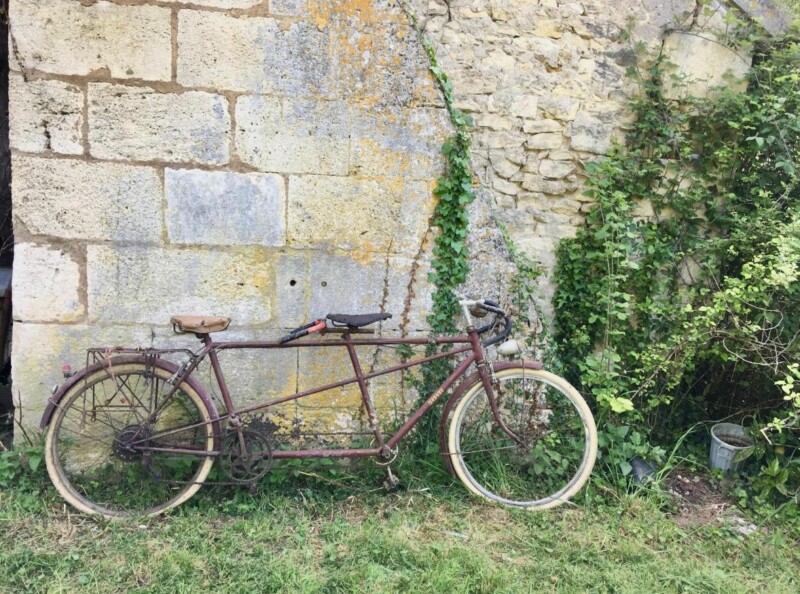 inbound8748311047353299072